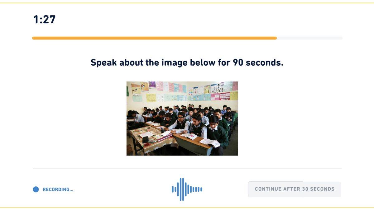 DET Describe the Image