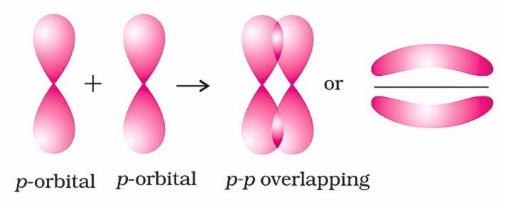 p - p overlapping NCERT Image