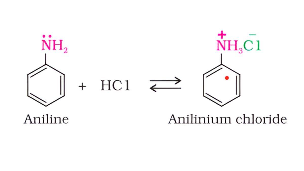 Basic Character of Amines
