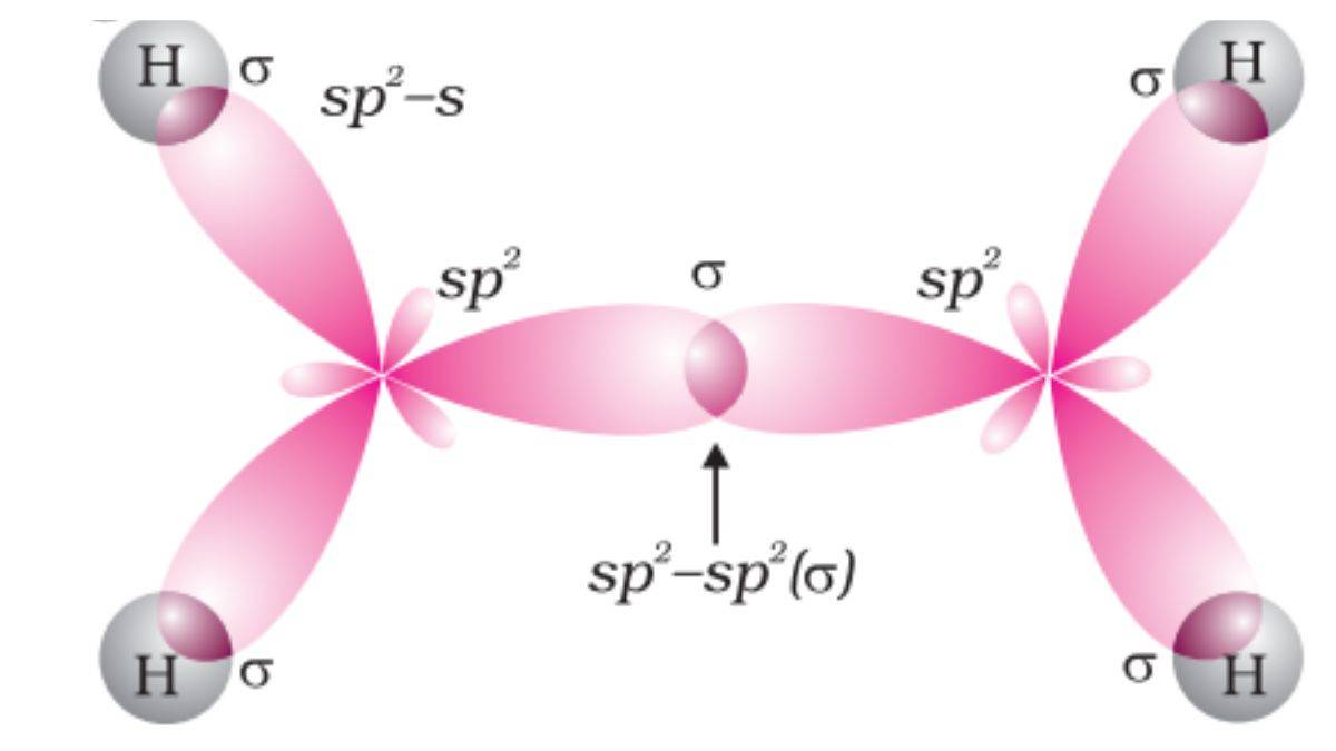 Orbital Diagram of Ethene 