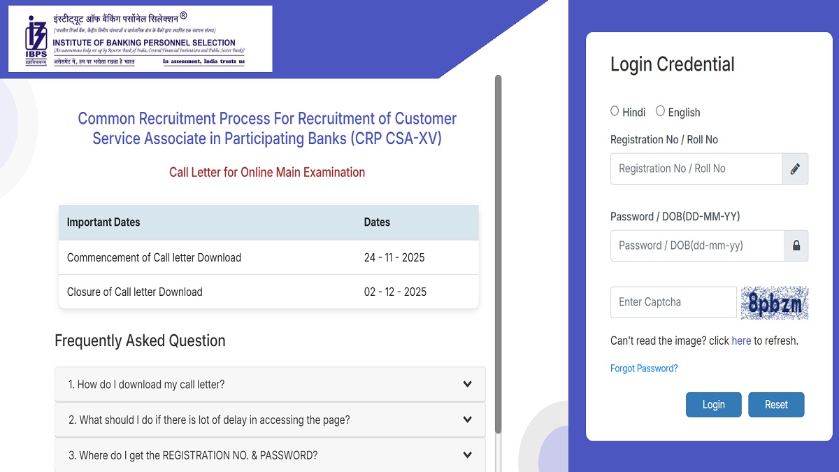 IBPS Clerk Mains 2025 Admit Card OUT