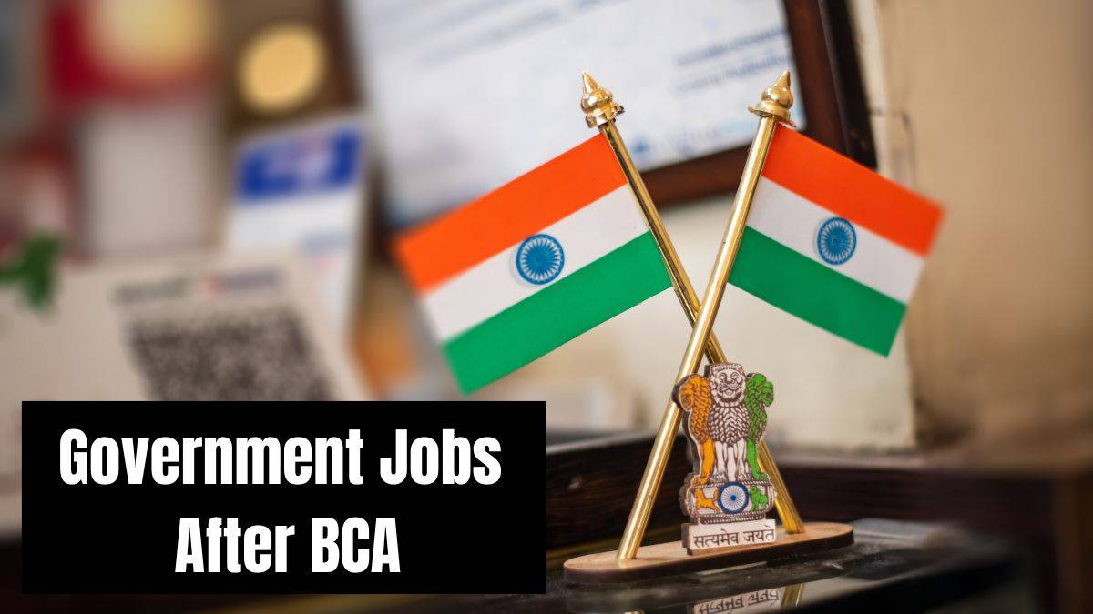 Government Jobs After BCA