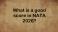 What is a good score in NATA?