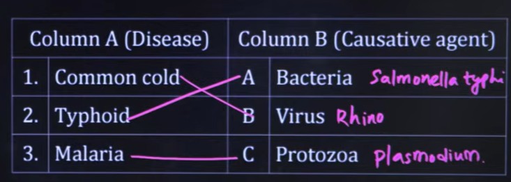 mht-cet-april-21-shift-1-paper