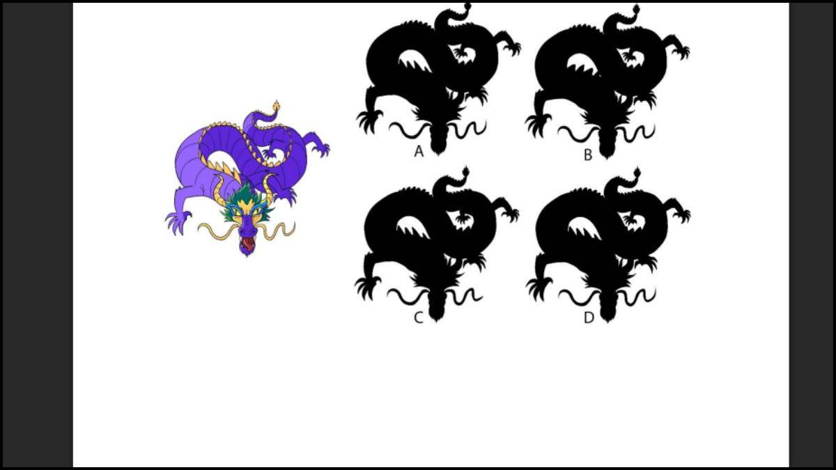 Color of dragon