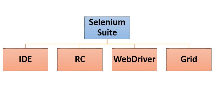 2020_12_Selenium-SUite.jpg