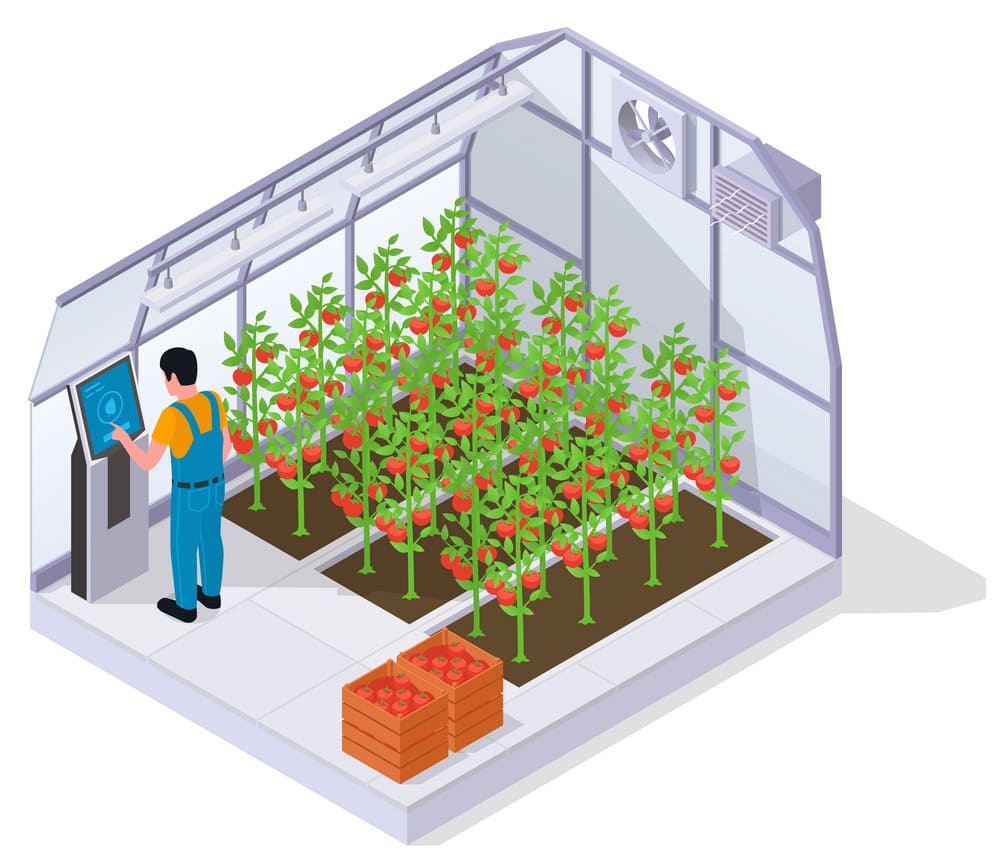 2022_01_smart-greenhouse.jpg