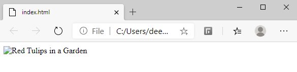 HTML Attributes Explained with Examples - Shiksha Online