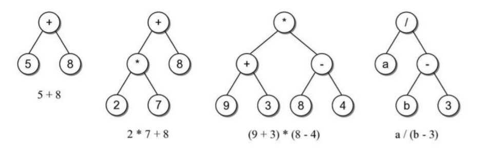 Tree Data Structure: Types, Properties, and Applications - Shiksha Online