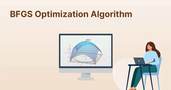 BFGS Optimization Algorithm