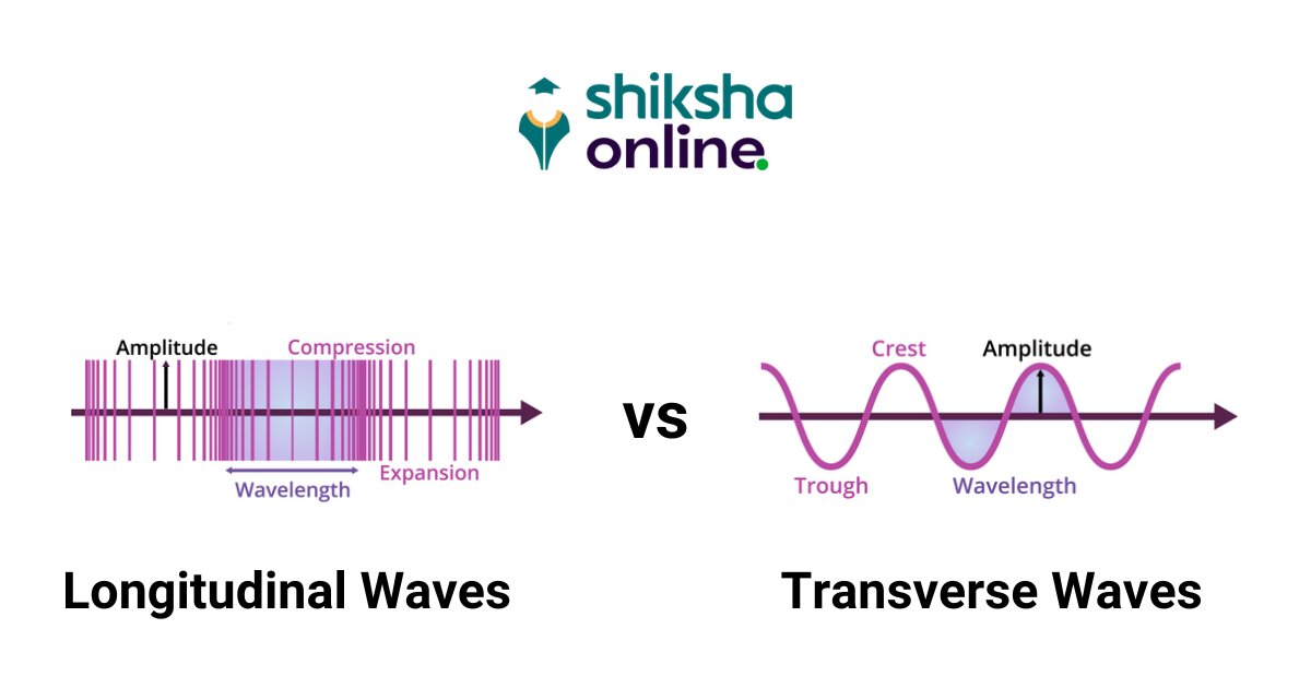 Transverse Wave Answered The Diagram Shows A Transverse Wave Wave